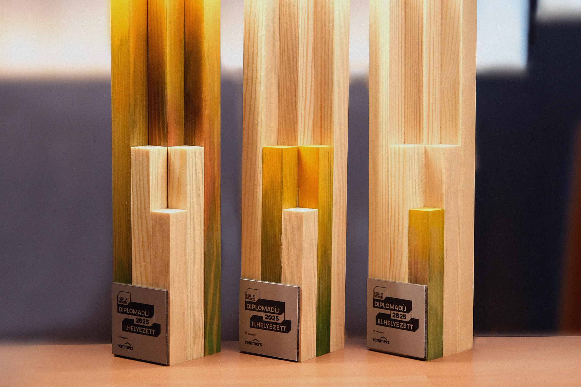 Hello Wood Diplomadíj 2025